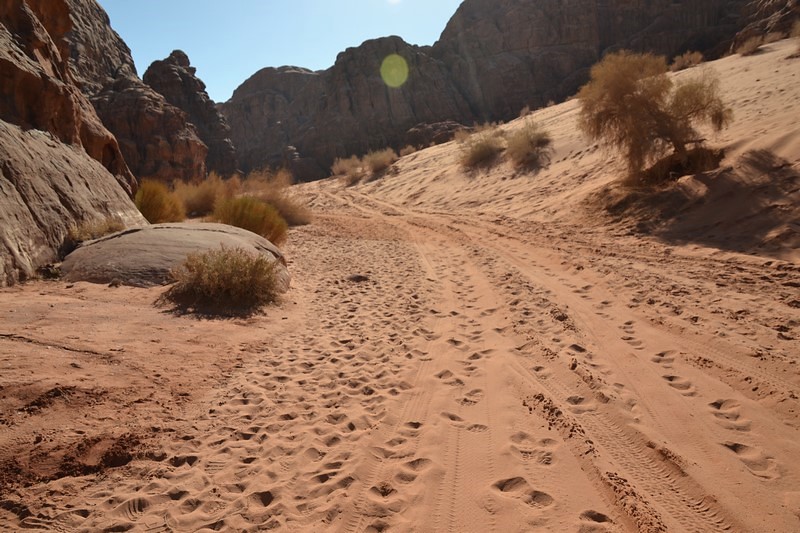 DSC_0019 (Kopiowanie).JPG