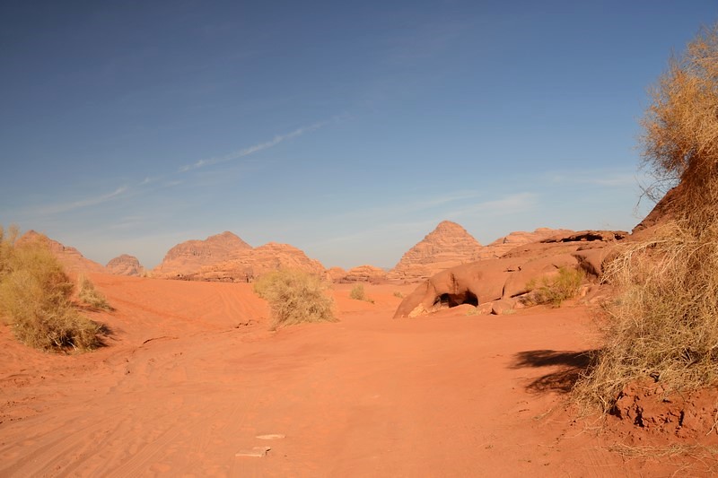 DSC_0020 (Kopiowanie).JPG