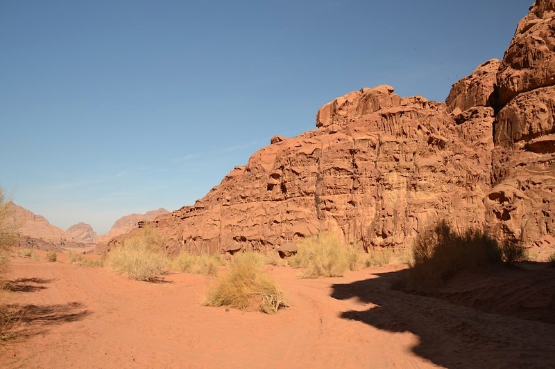 DSC_0023 (Kopiowanie).JPG