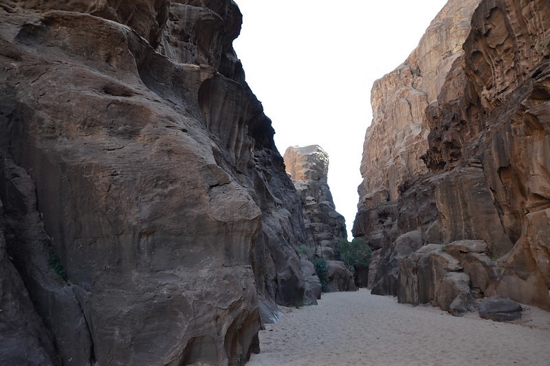 DSC_0027 (Kopiowanie).JPG