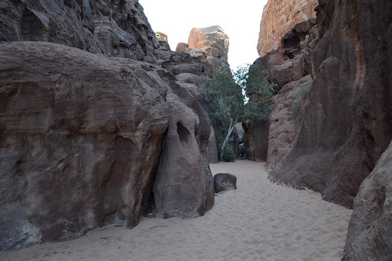 DSC_0029 (Kopiowanie).JPG