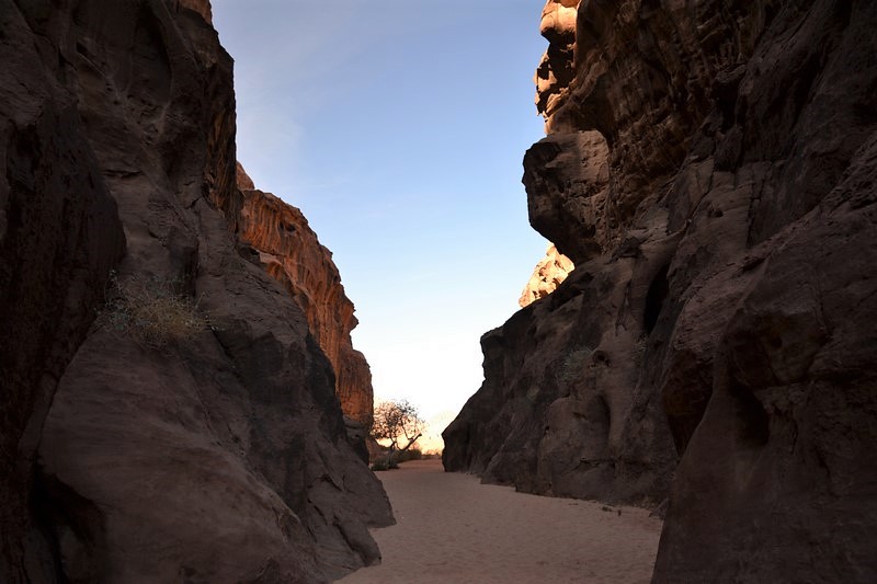 DSC_0031 (Kopiowanie).JPG