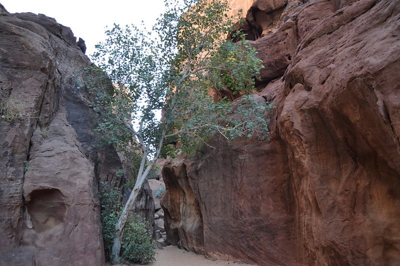 DSC_0032 (Kopiowanie).JPG