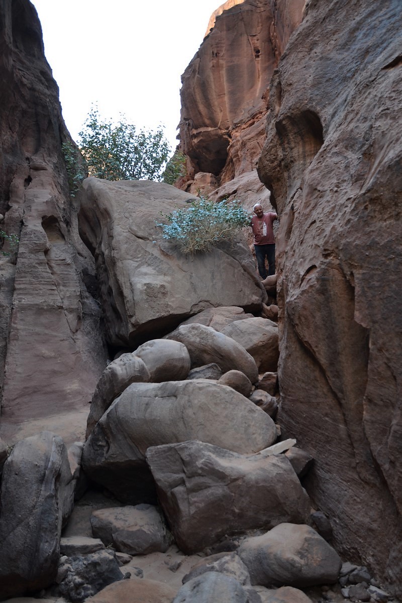 DSC_0035 (Kopiowanie).JPG