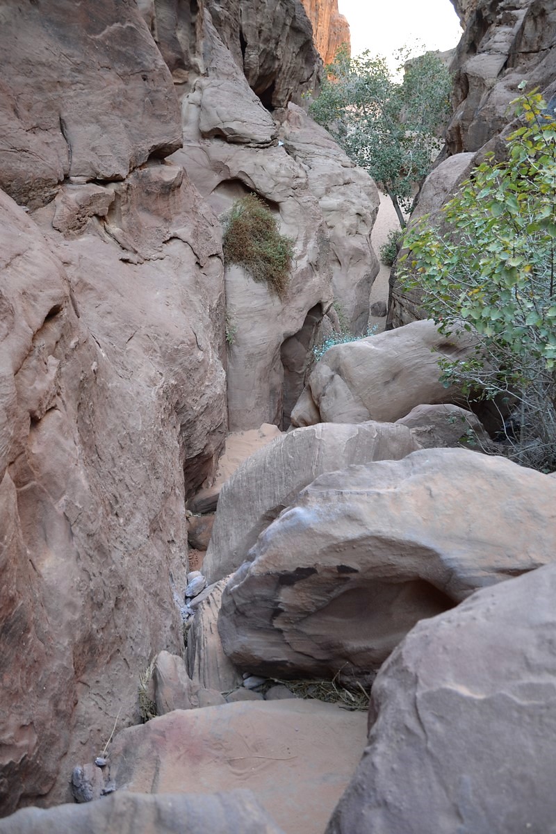 DSC_0038 (Kopiowanie).JPG