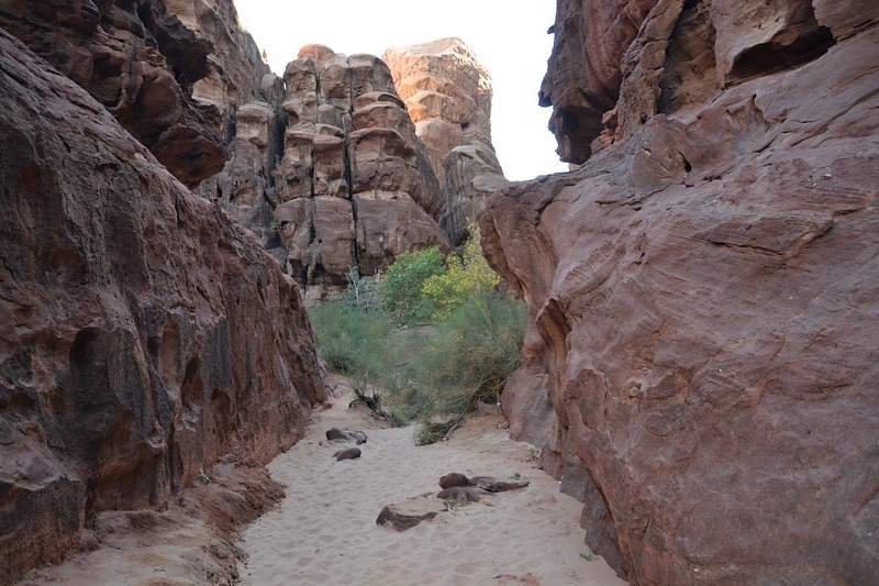 DSC_0039 (Kopiowanie).JPG