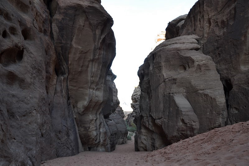 DSC_0054 (Kopiowanie).JPG