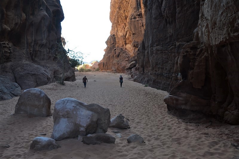 DSC_0056 (Kopiowanie).JPG