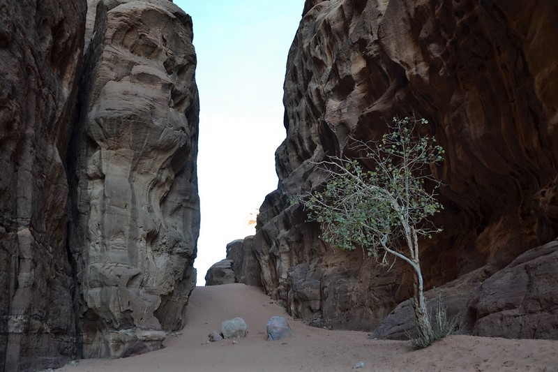 DSC_0057 (Kopiowanie).JPG