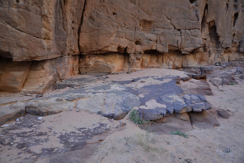 DSC_0058 (Kopiowanie).JPG