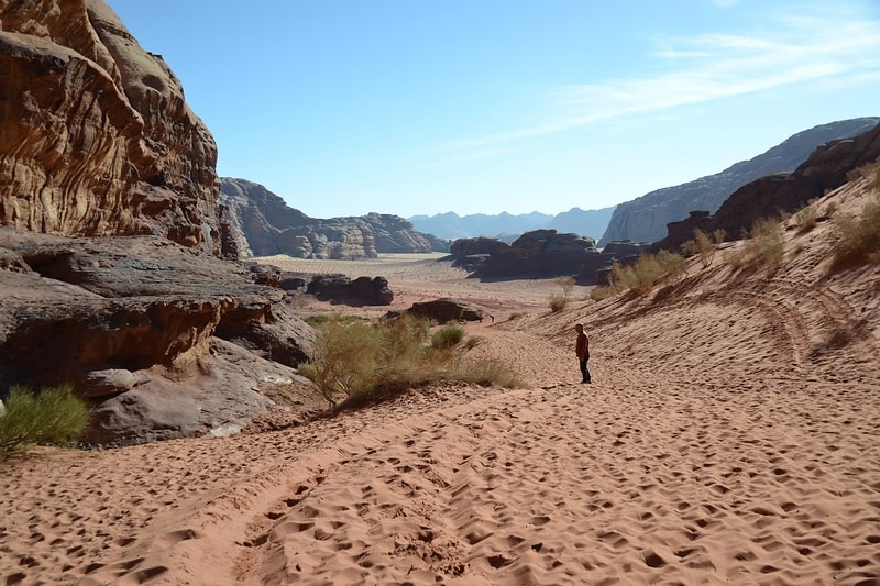 DSC_0059 (Kopiowanie).JPG