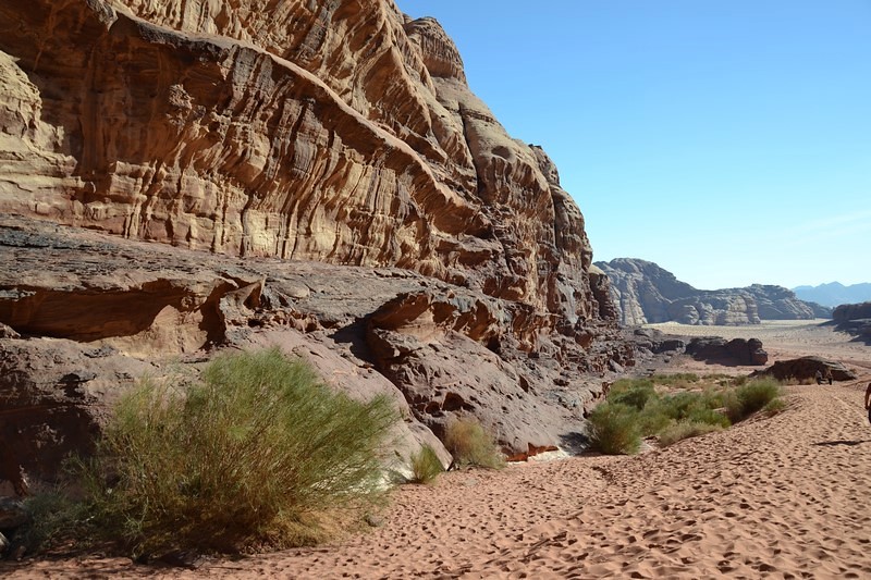 DSC_0062 (Kopiowanie).JPG