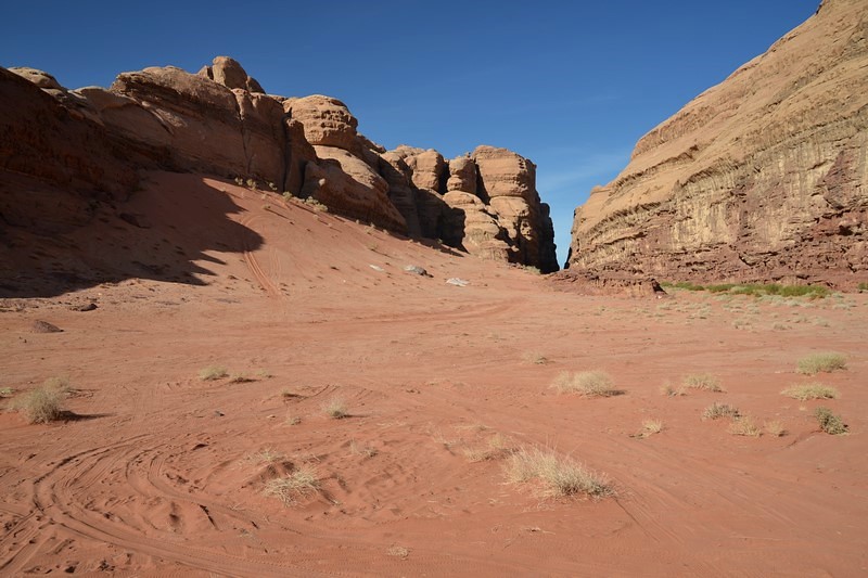 DSC_0070 (Kopiowanie).JPG