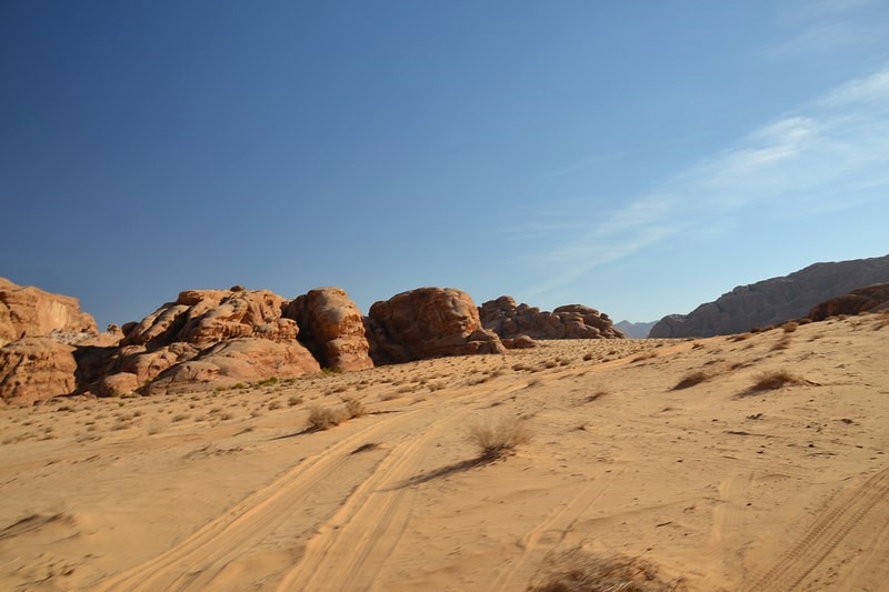 DSC_0089 (Kopiowanie).JPG