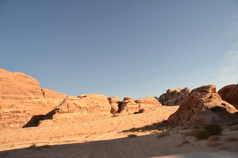 DSC_0104 (Kopiowanie).JPG