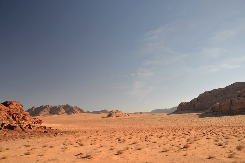 DSC_0105 (Kopiowanie).JPG