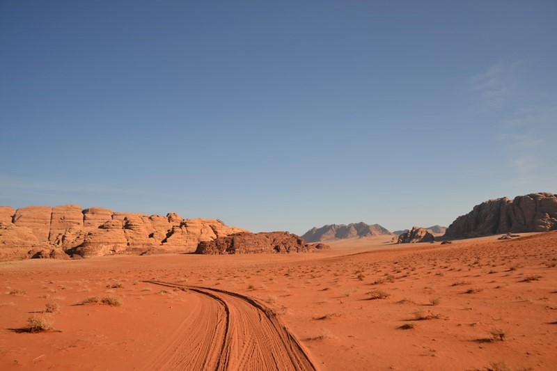 DSC_0112 (Kopiowanie).JPG