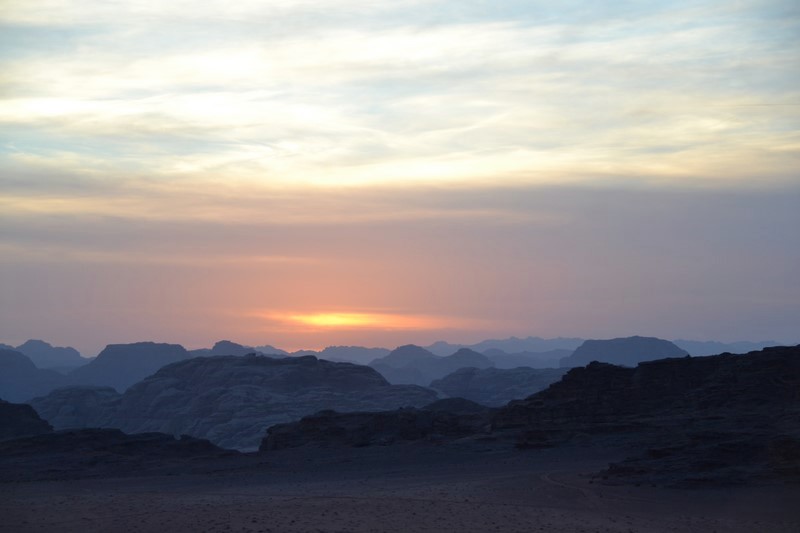 DSC_0204 (Kopiowanie).JPG