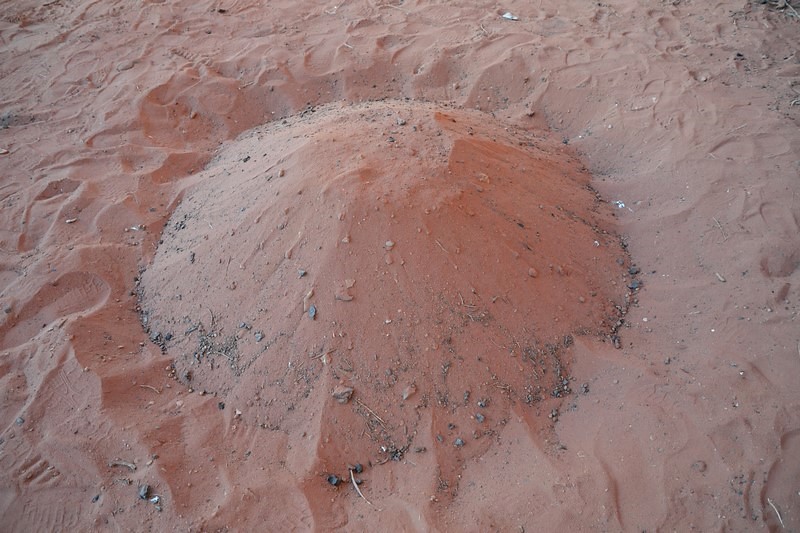 DSC_0233 (Kopiowanie).JPG