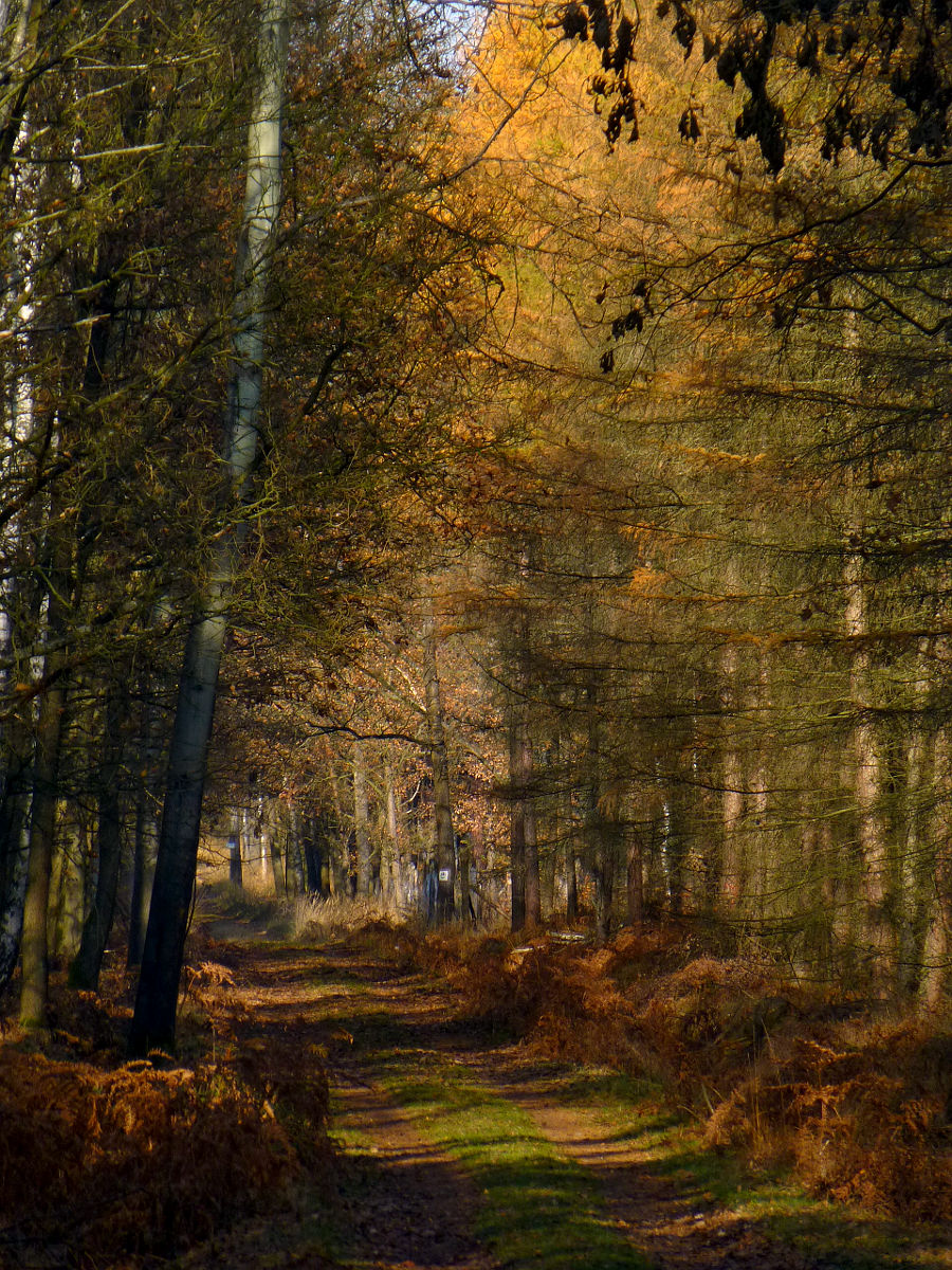 P1020028.JPG