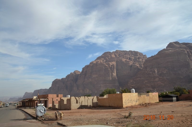 DSC_0280 (Kopiowanie).JPG