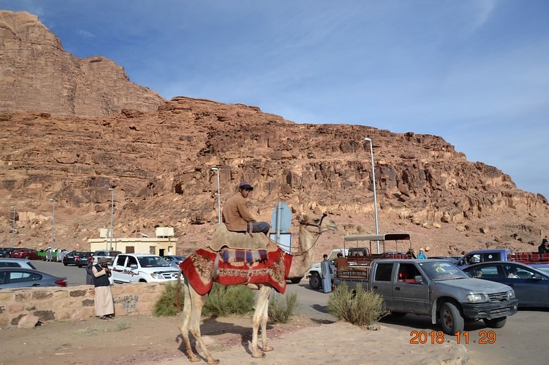 DSC_0285 (Kopiowanie).JPG