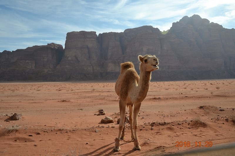 DSC_0299 (Kopiowanie).JPG