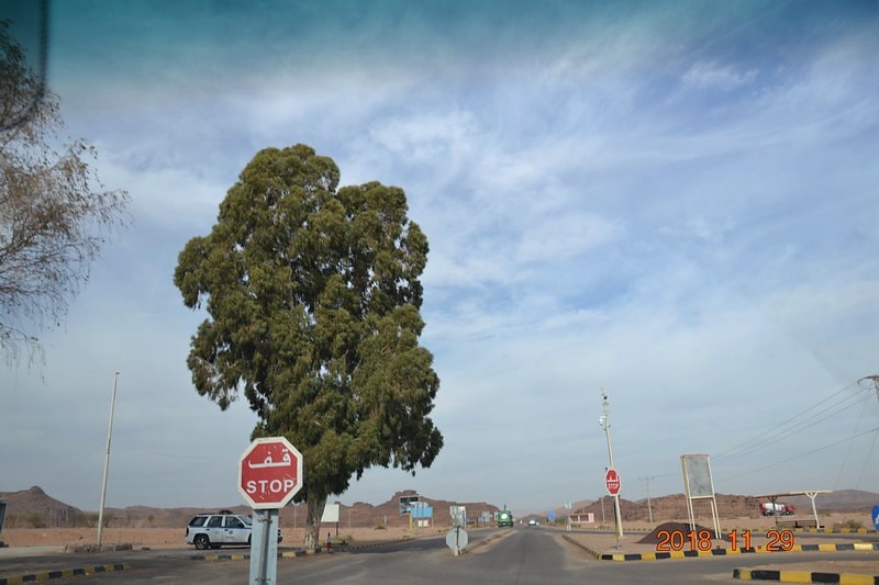 DSC_0304 (Kopiowanie).JPG