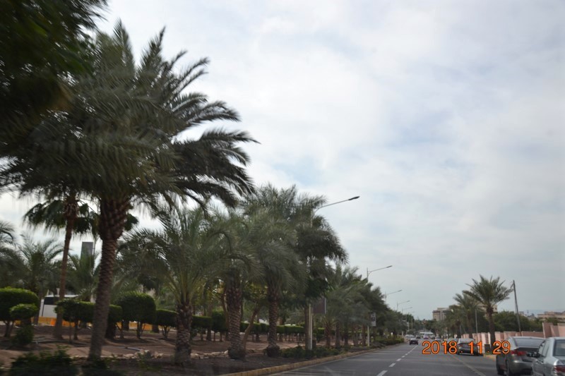 DSC_0356 (Kopiowanie).JPG