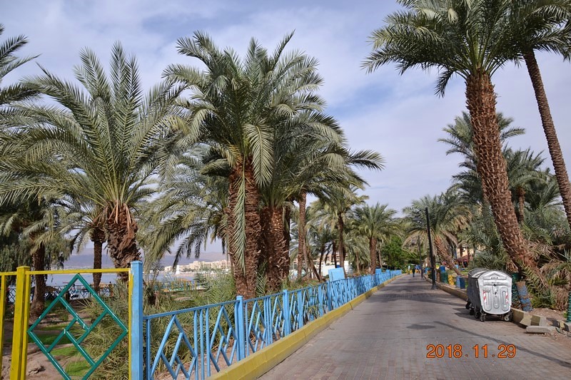 DSC_0366 (Kopiowanie).JPG