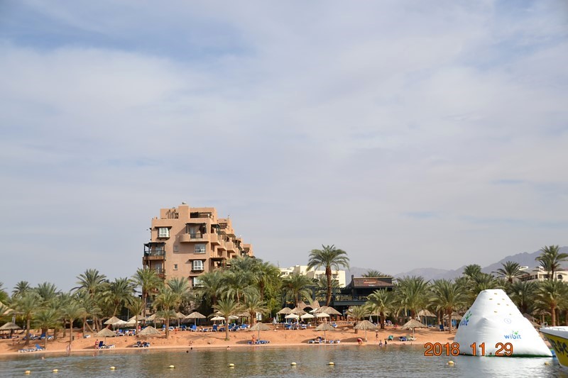 DSC_0409 (Kopiowanie).JPG