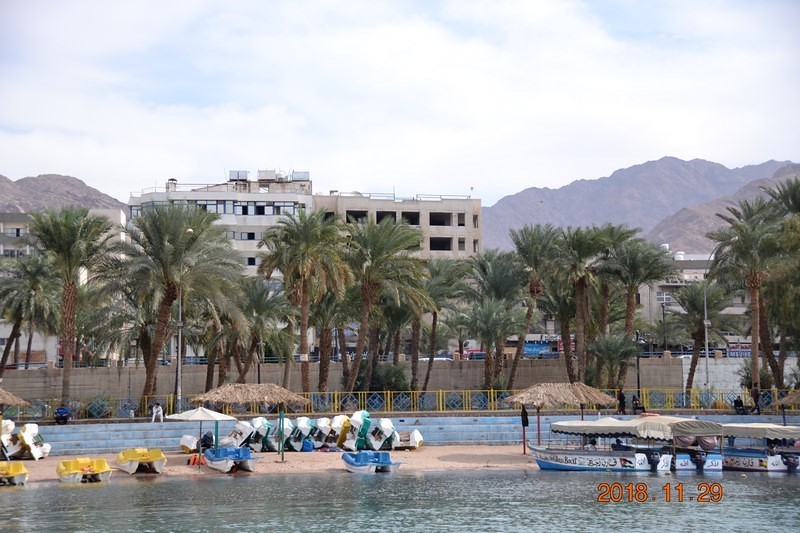 DSC_0418 (Kopiowanie).JPG