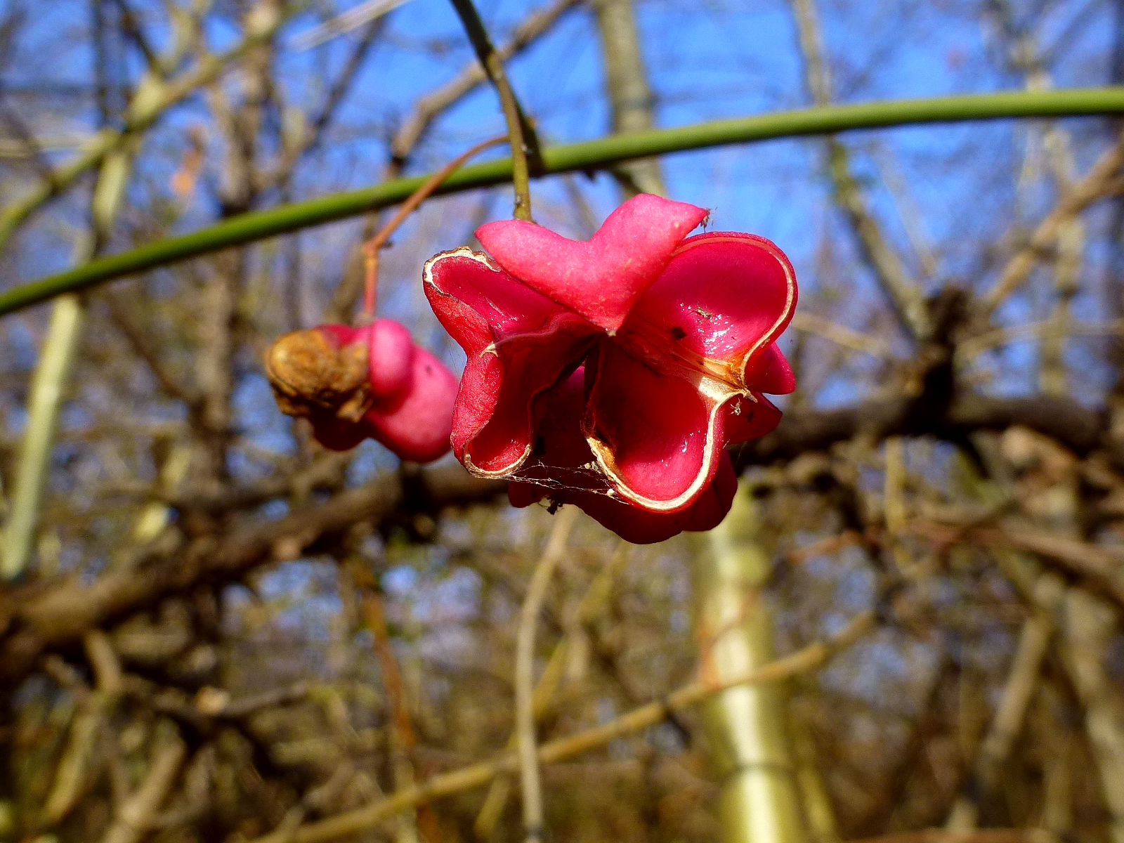P1020145.JPG