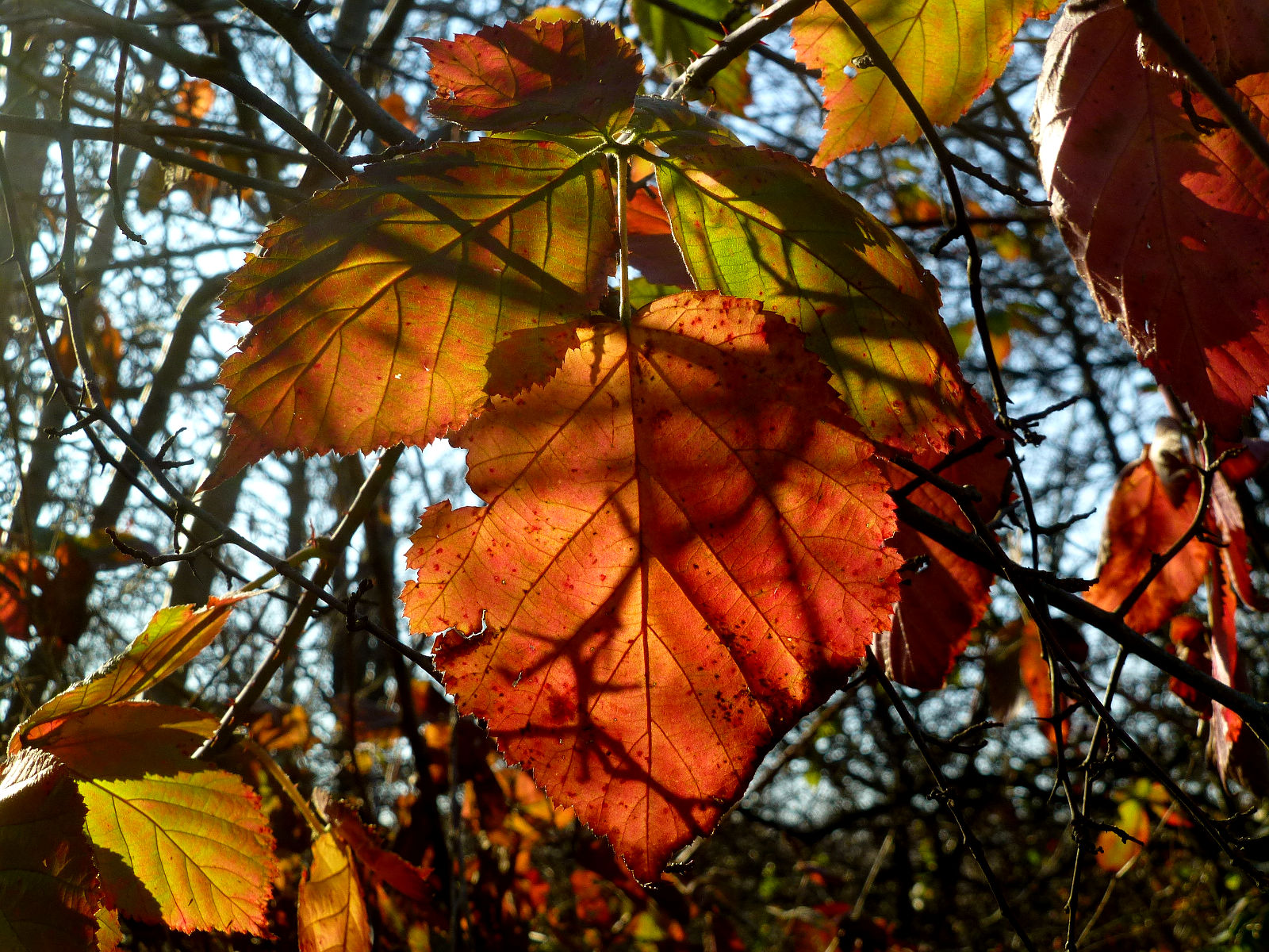 P1020156.JPG