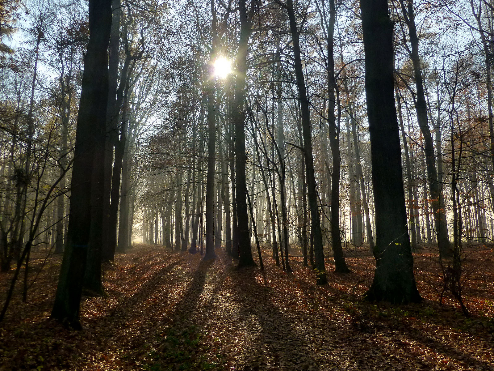 P1020126.JPG