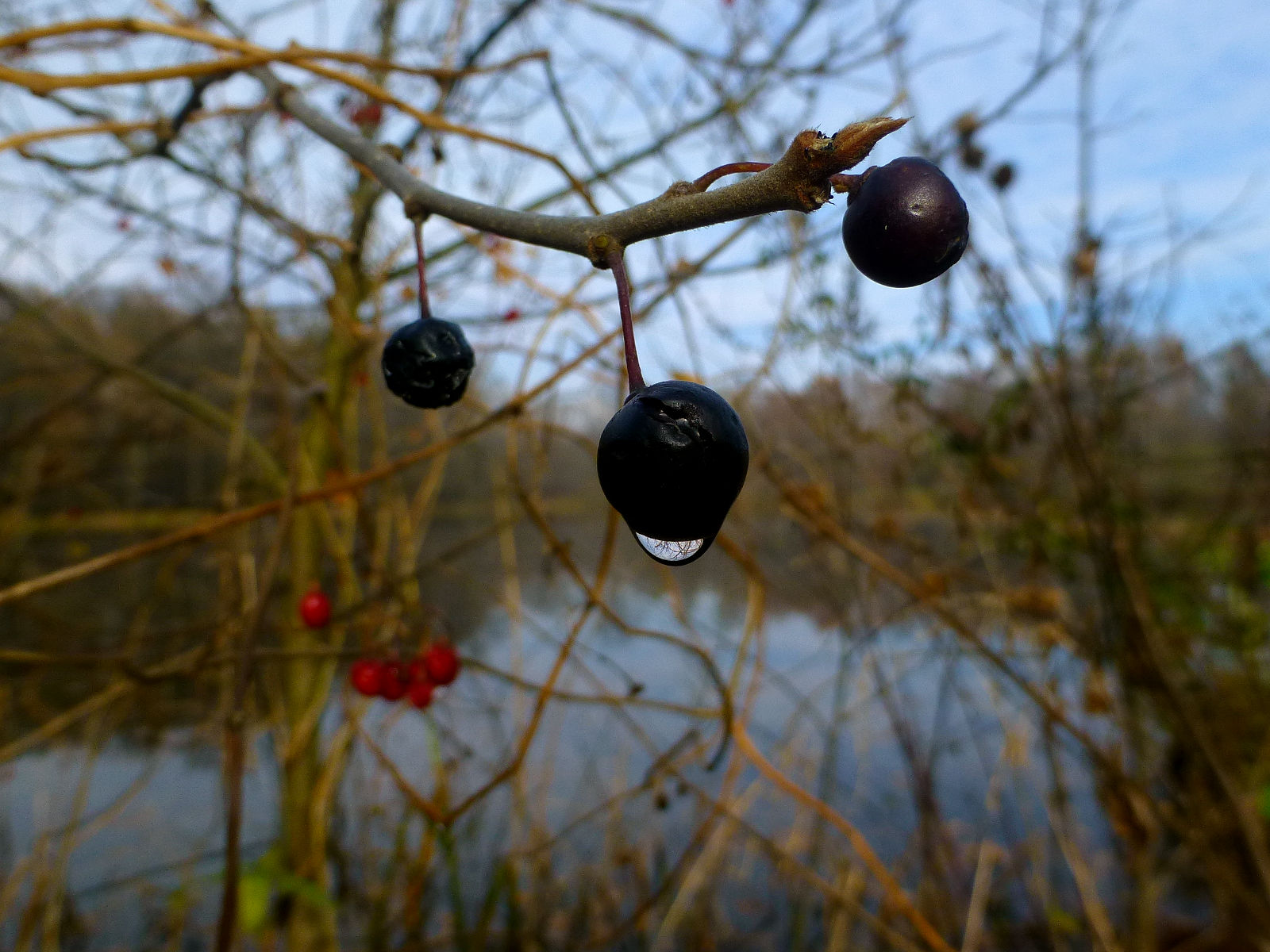 P1020538.JPG