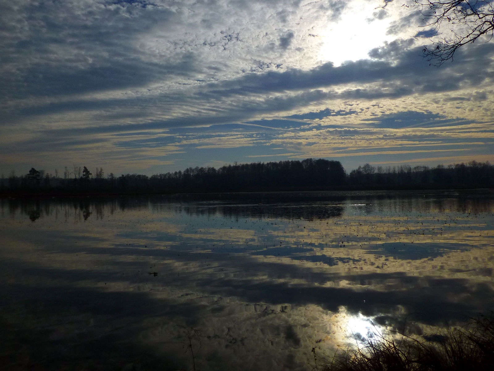 P1020748.JPG
