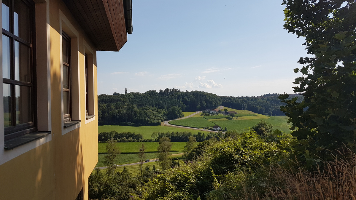 20180709_164354.jpg