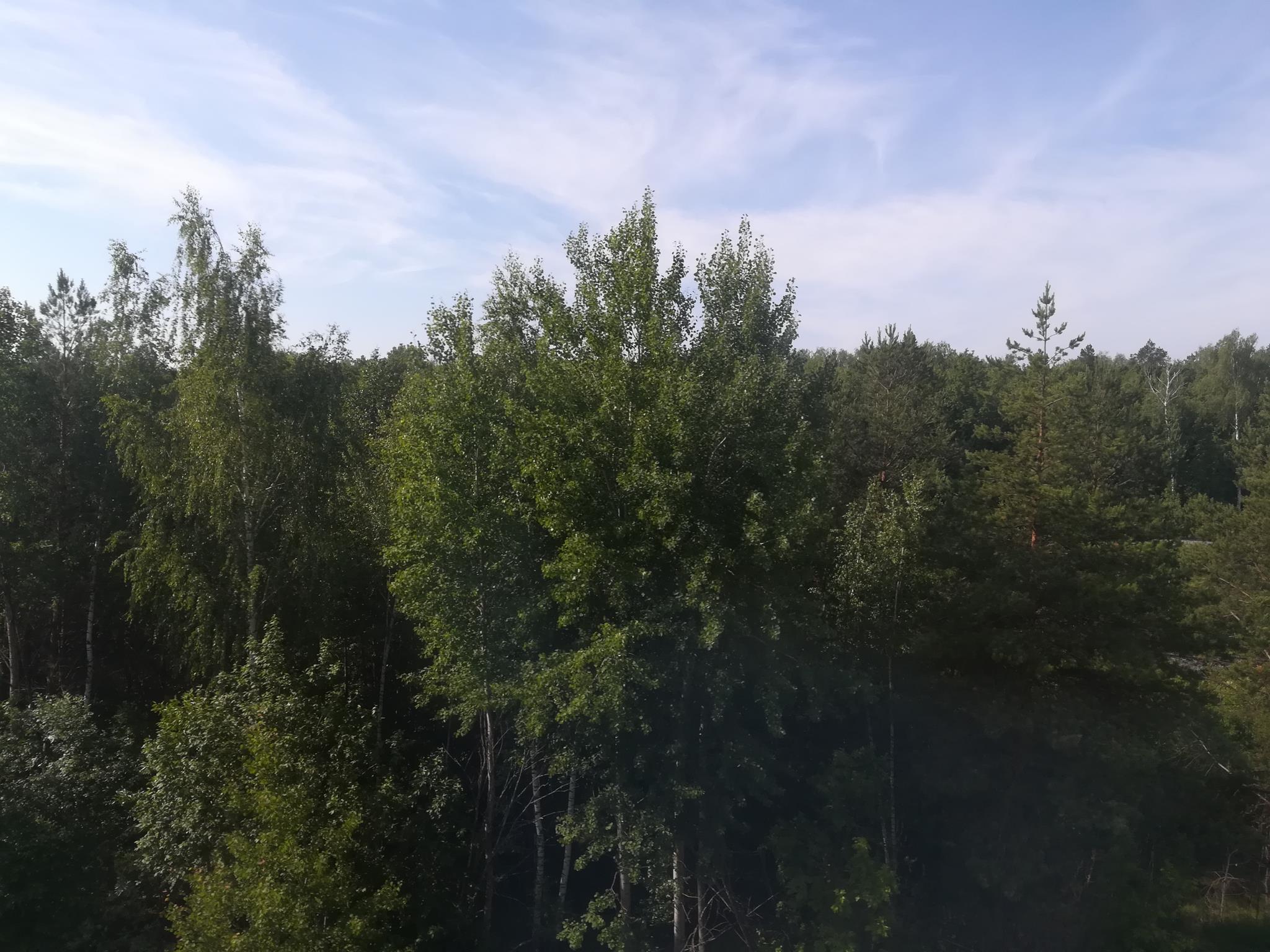 IMG_20180627_074753 (Copy).jpg