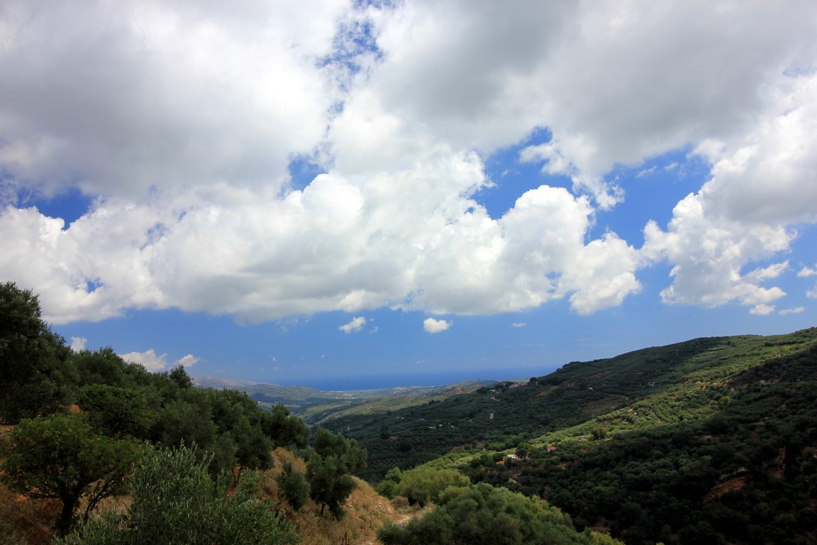 IMG_5309 (Kopiowanie).JPG