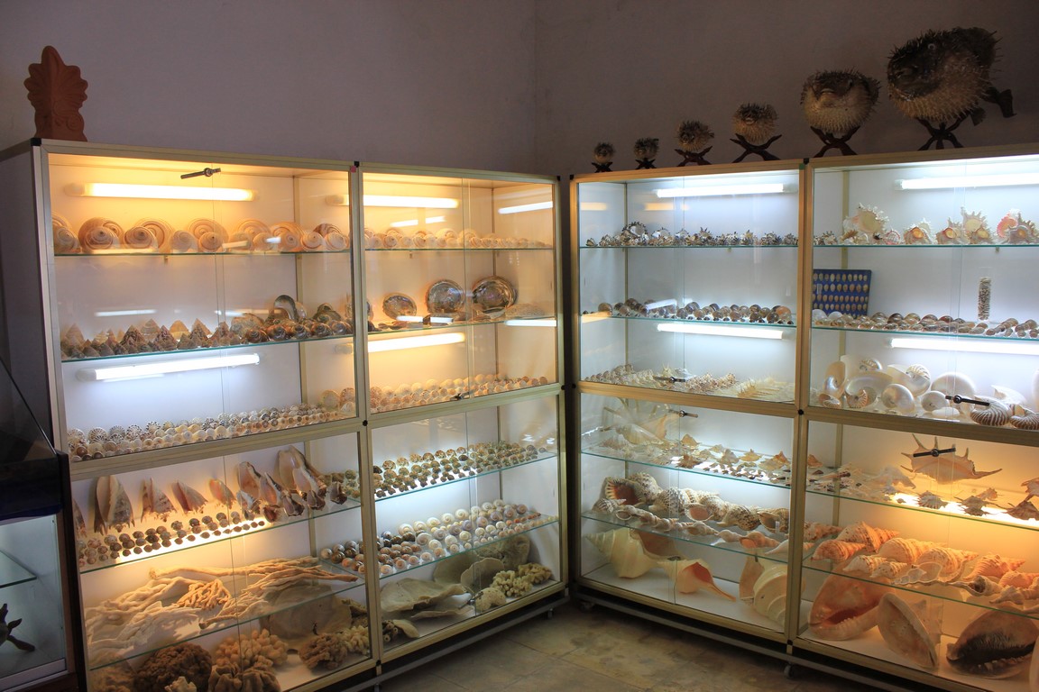 IMG_5456 (Kopiowanie).JPG