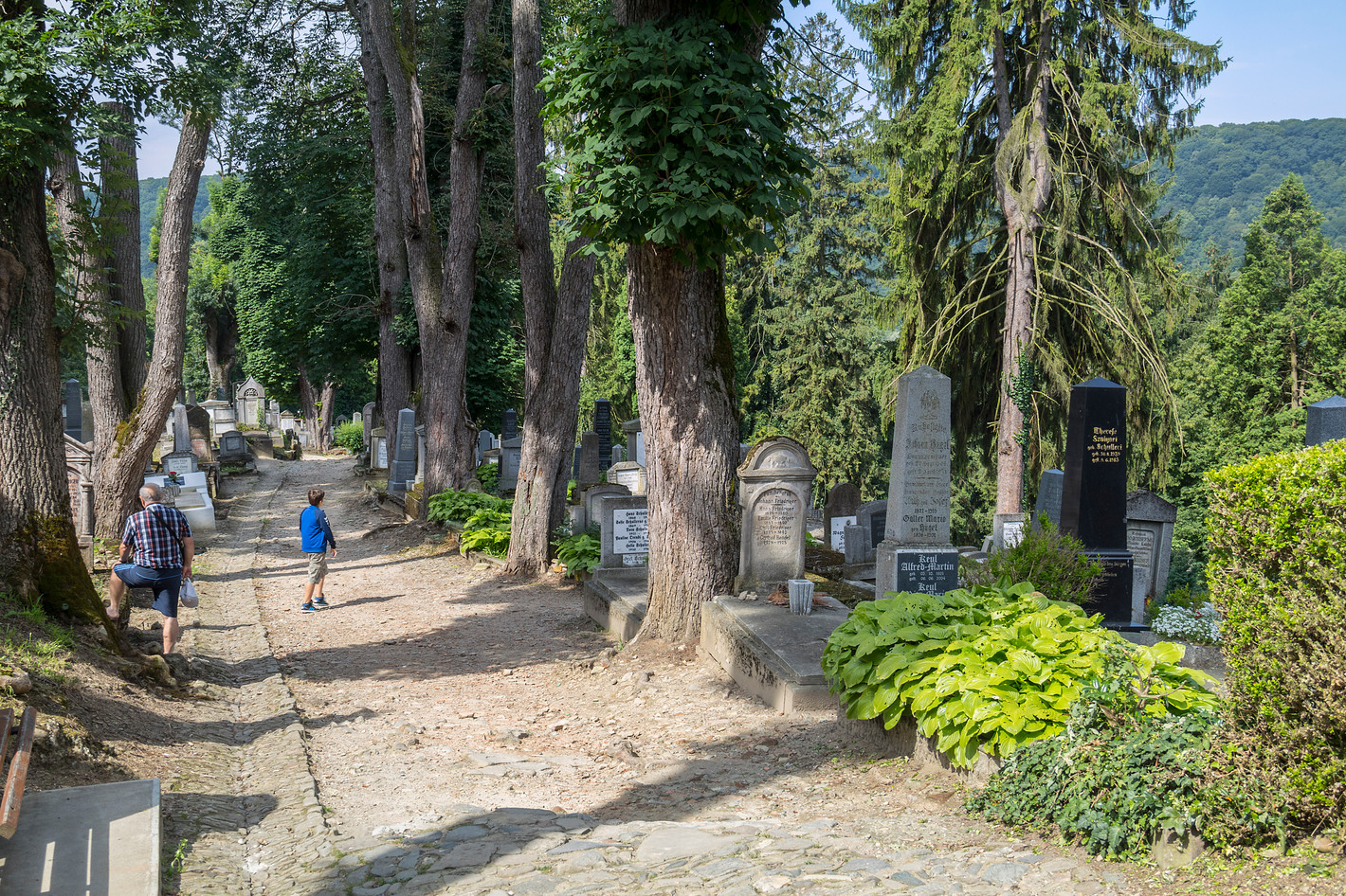 IMG_1158 Sighișoara, Cmentarz ewangelicki (Vechi cimitir evanghelic).jpg