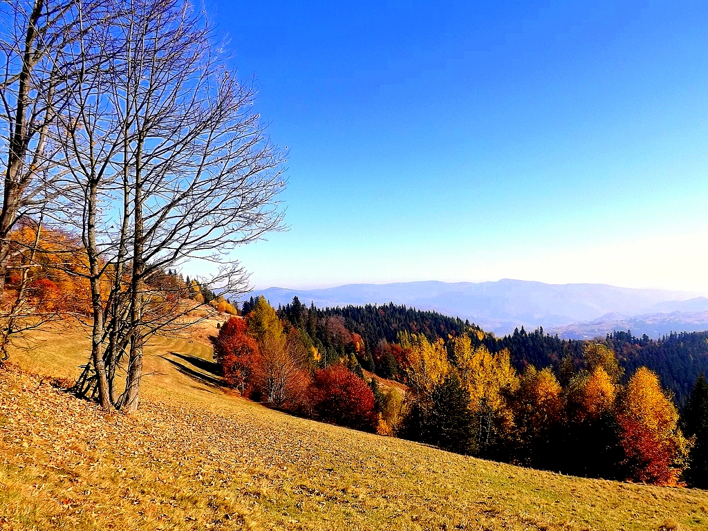 DSCF1640.JPG