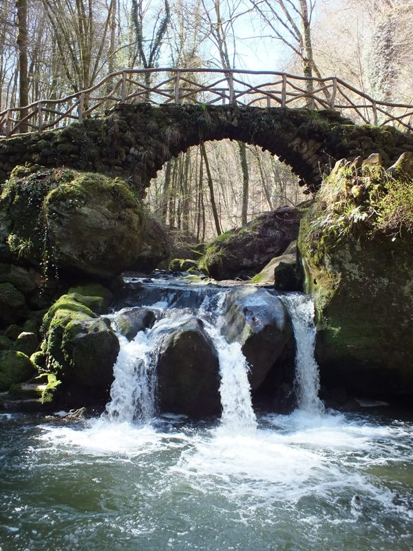 DSCF3275.JPG