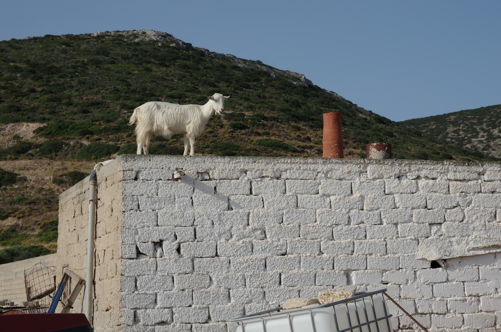 Chora / IMGP3295_resize.JPG IMGP3295_resize.JPG