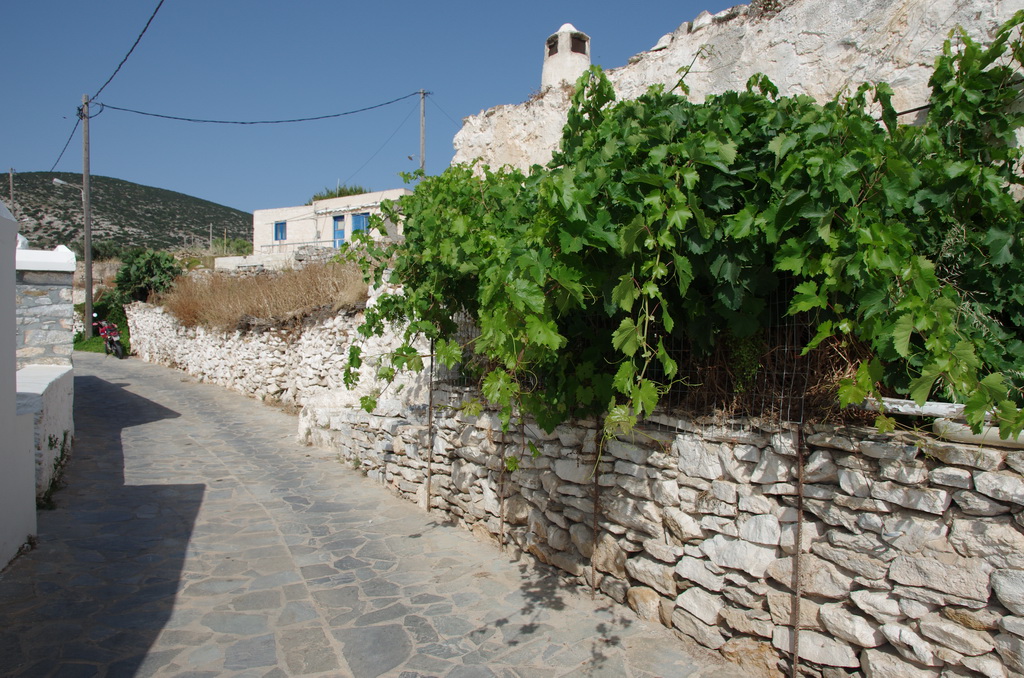 Pano Chora / IMGP3382_resize.JPG IMGP3382_resize.JPG