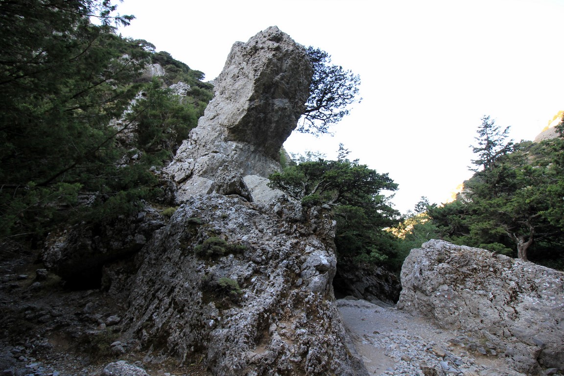 IMG_6048 (Kopiowanie).JPG