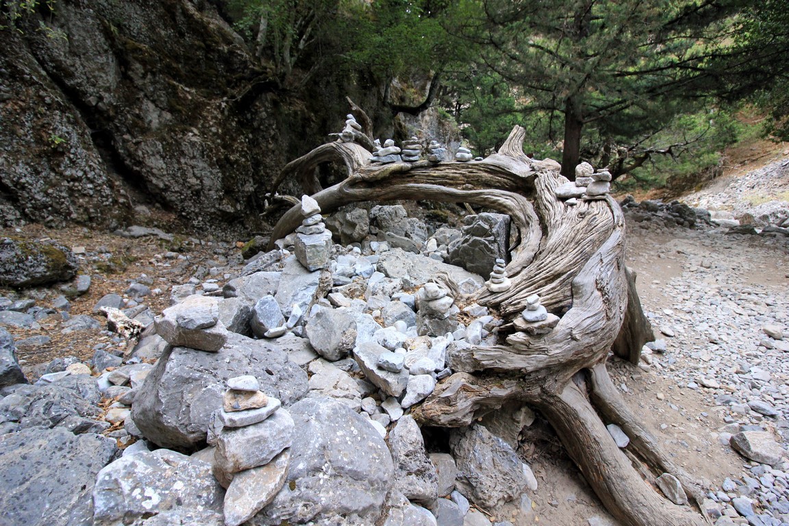 IMG_6056 (Kopiowanie).JPG