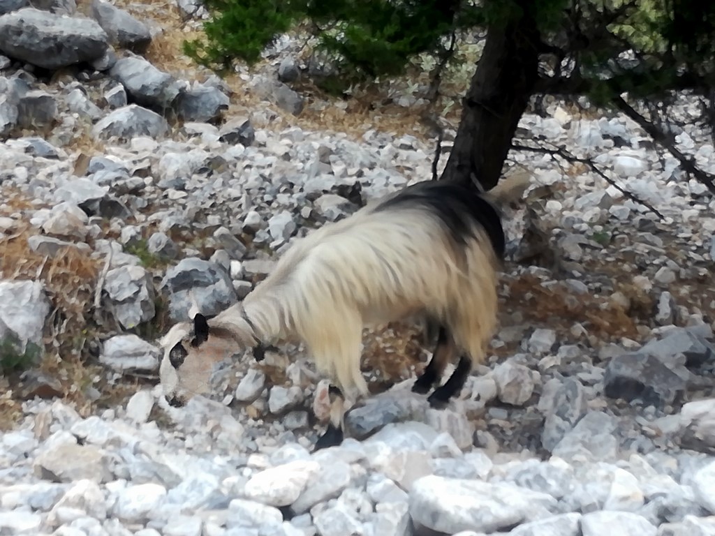 IMG_20180705_091725 (Kopiowanie).jpg