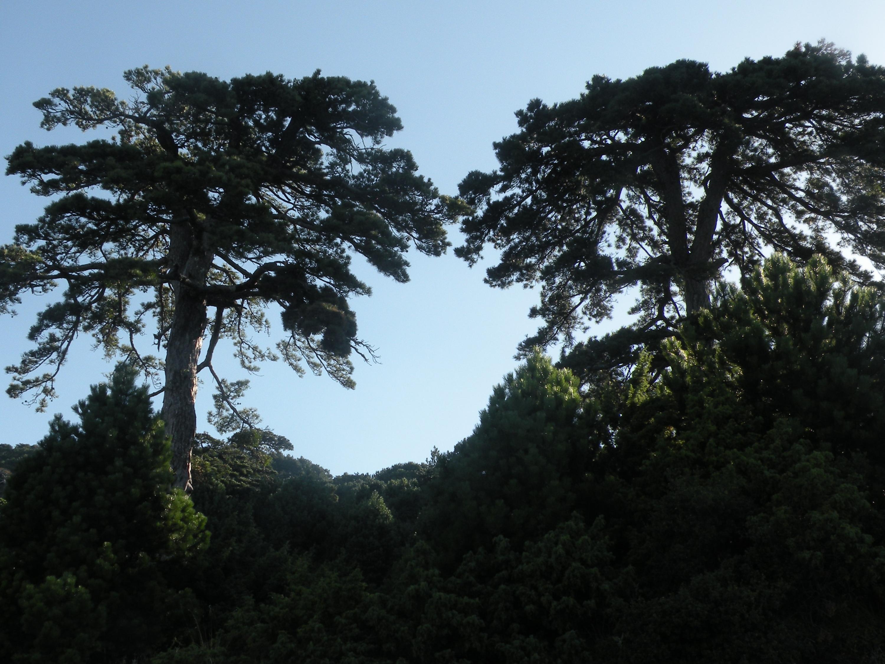 GrAl 2018 006 (Copy).jpg